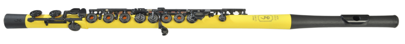 newvoice-gh-c-0.png